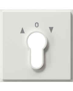 Gira 066466 Afdekking voor sleutelschakelaar en sleuteldrukcontact tx_44 zuiver wit