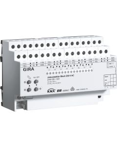 GIRA-216100
