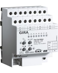 GIRA-216300