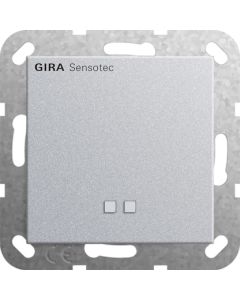 GIRA-237626